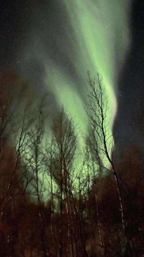 Stor Hytte I Olderfjord Villa Russenes Kültér fotó